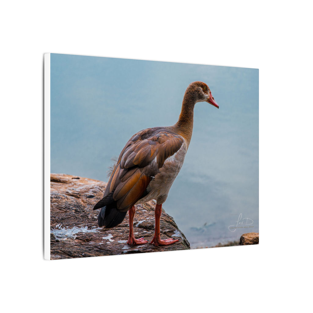 Goose Canvas Wall Art — Matte Stretched Nature Print