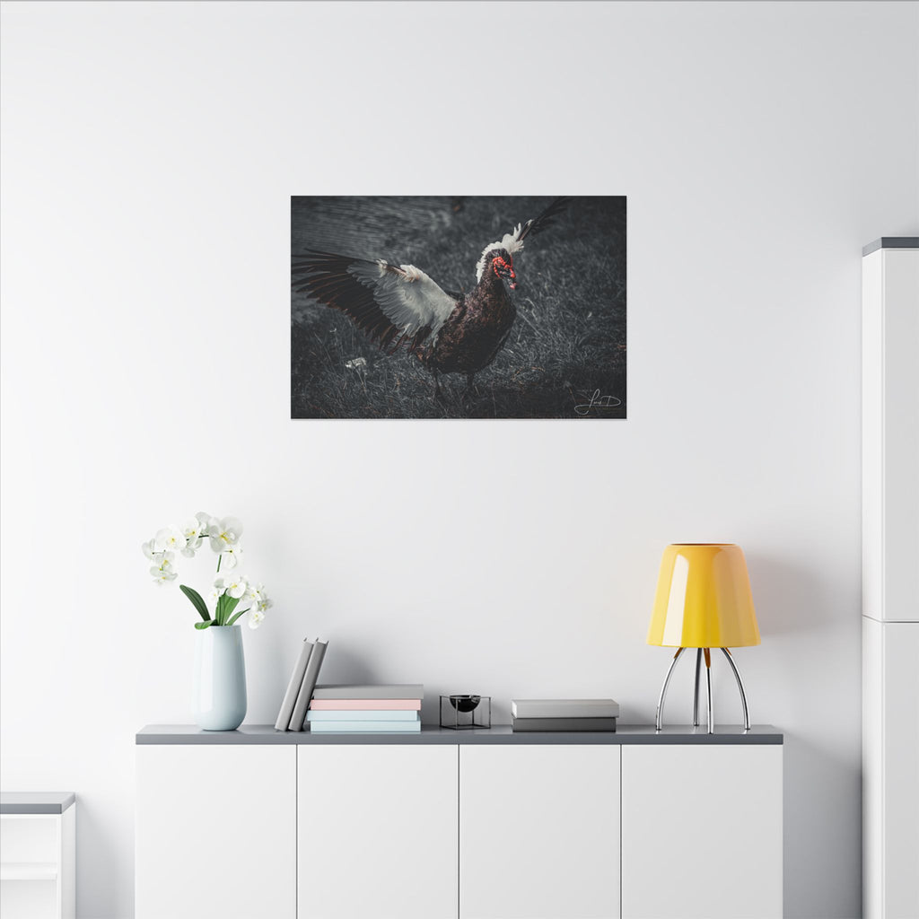 Dark Farmhouse Canvas Print — Moody Muscovy Duck Wall Art