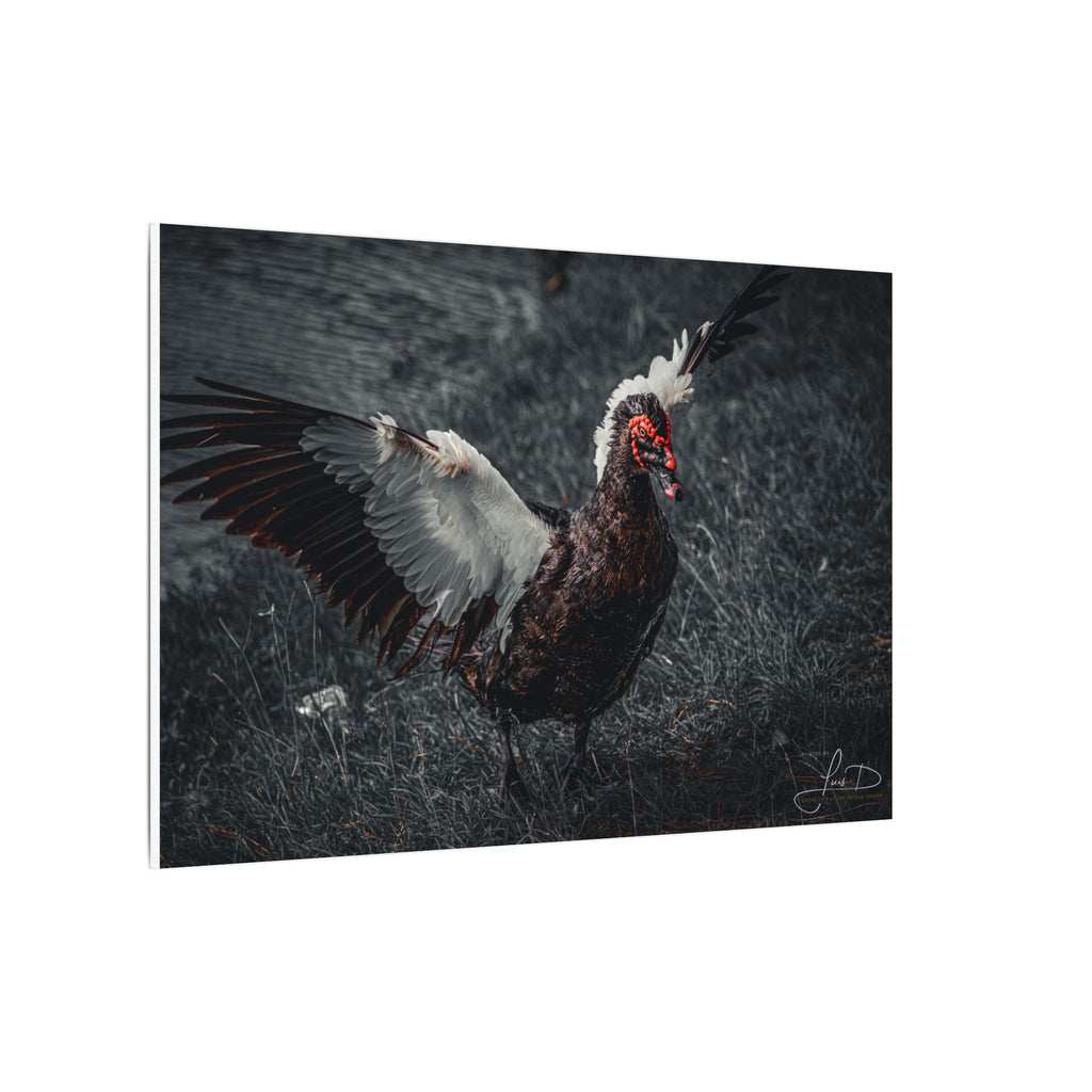 Dark Farmhouse Canvas Print — Moody Muscovy Duck Wall Art