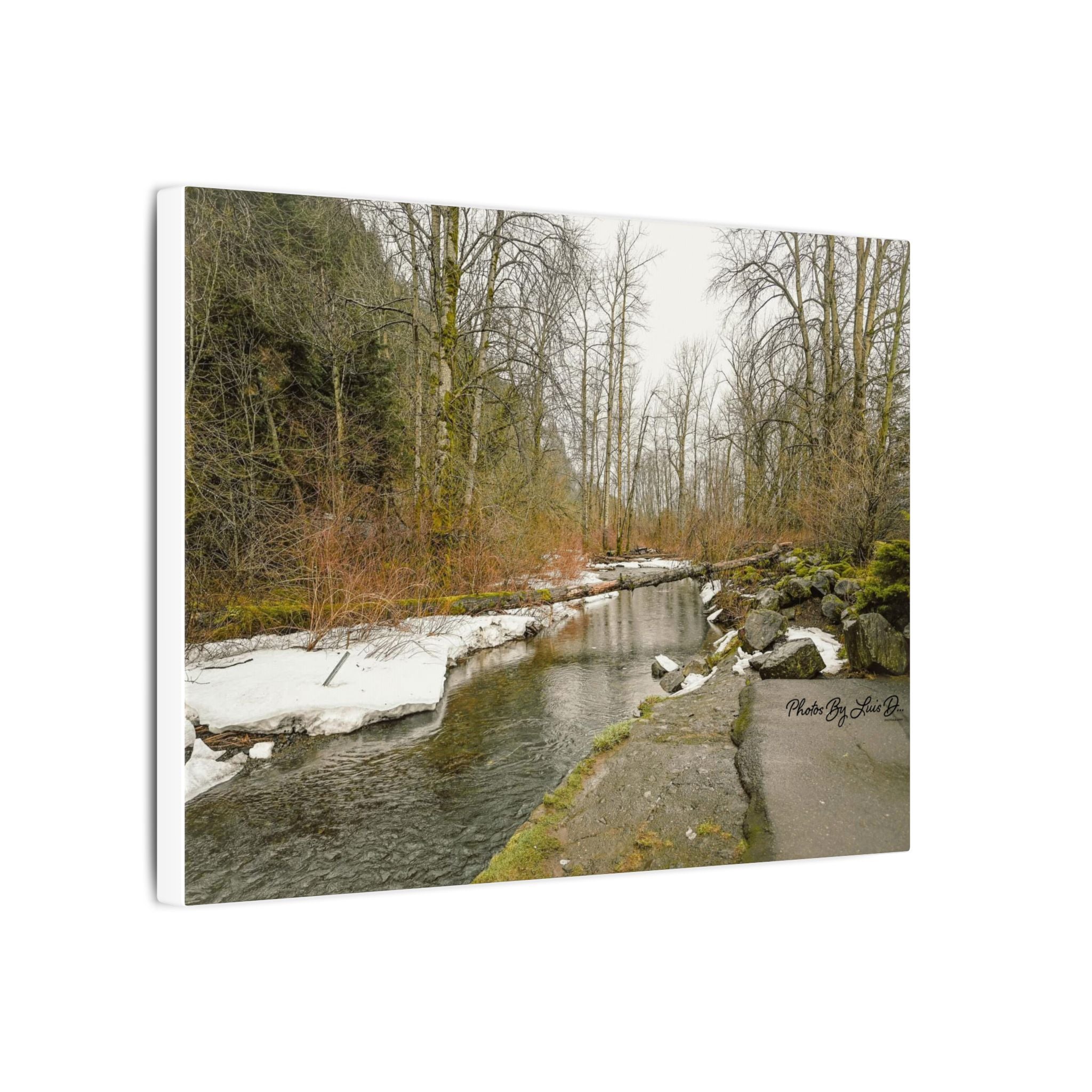 Nature Wall Art Print, Landscape Home Decor, Rustic Cabin Art, Gift for Nature Lovers, Indoor Decoration