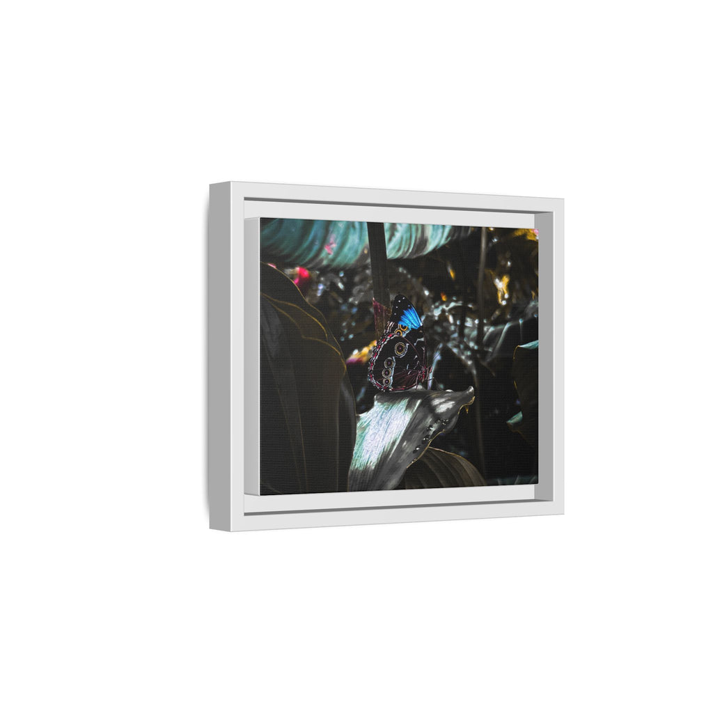Framed Matte Canvas Print — Moody Tropical Butterfly Wall Art