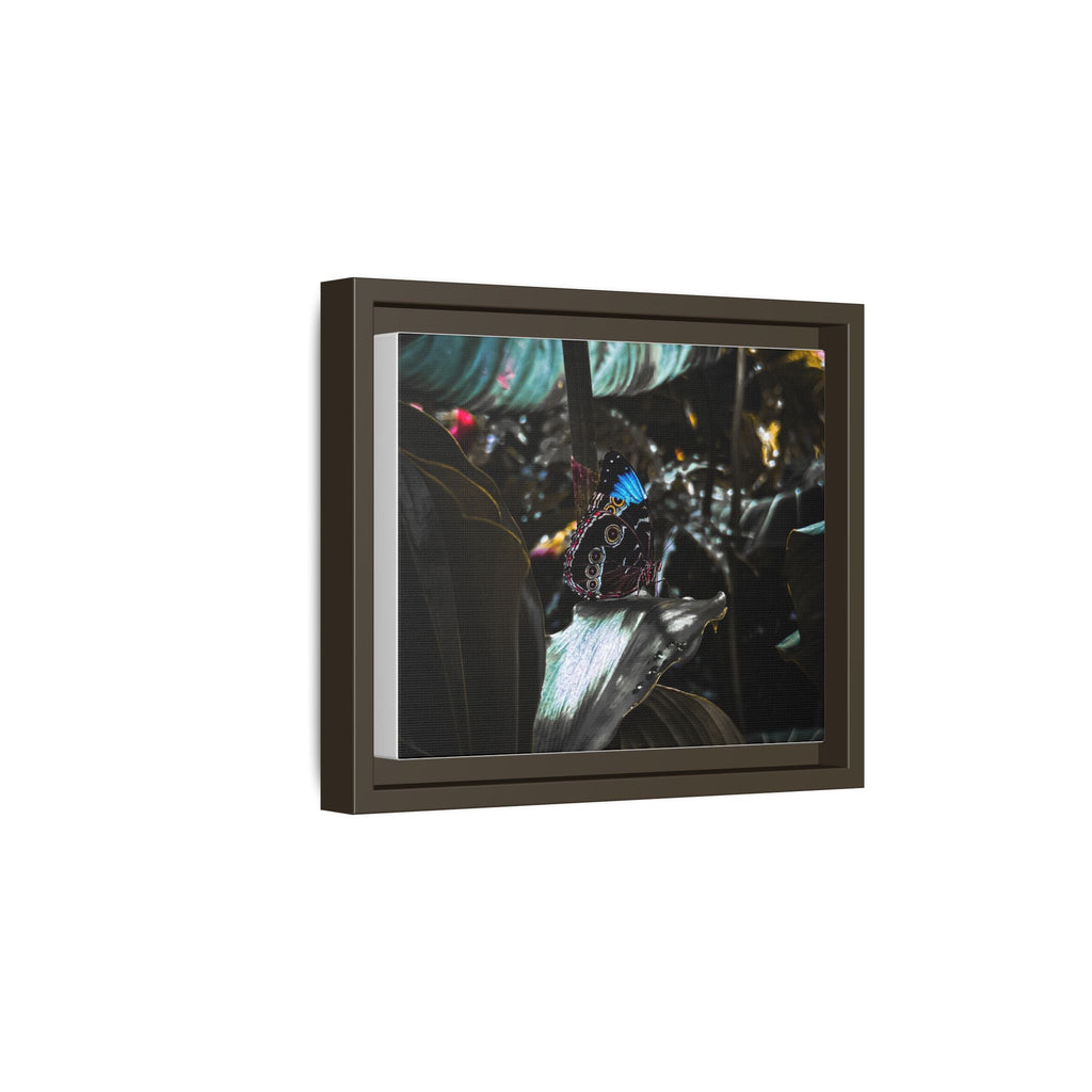 Framed Matte Canvas Print — Moody Tropical Butterfly Wall Art