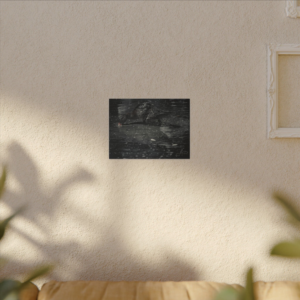 Black Duck Matte Canvas Print — Moody Wildlife Wall Art