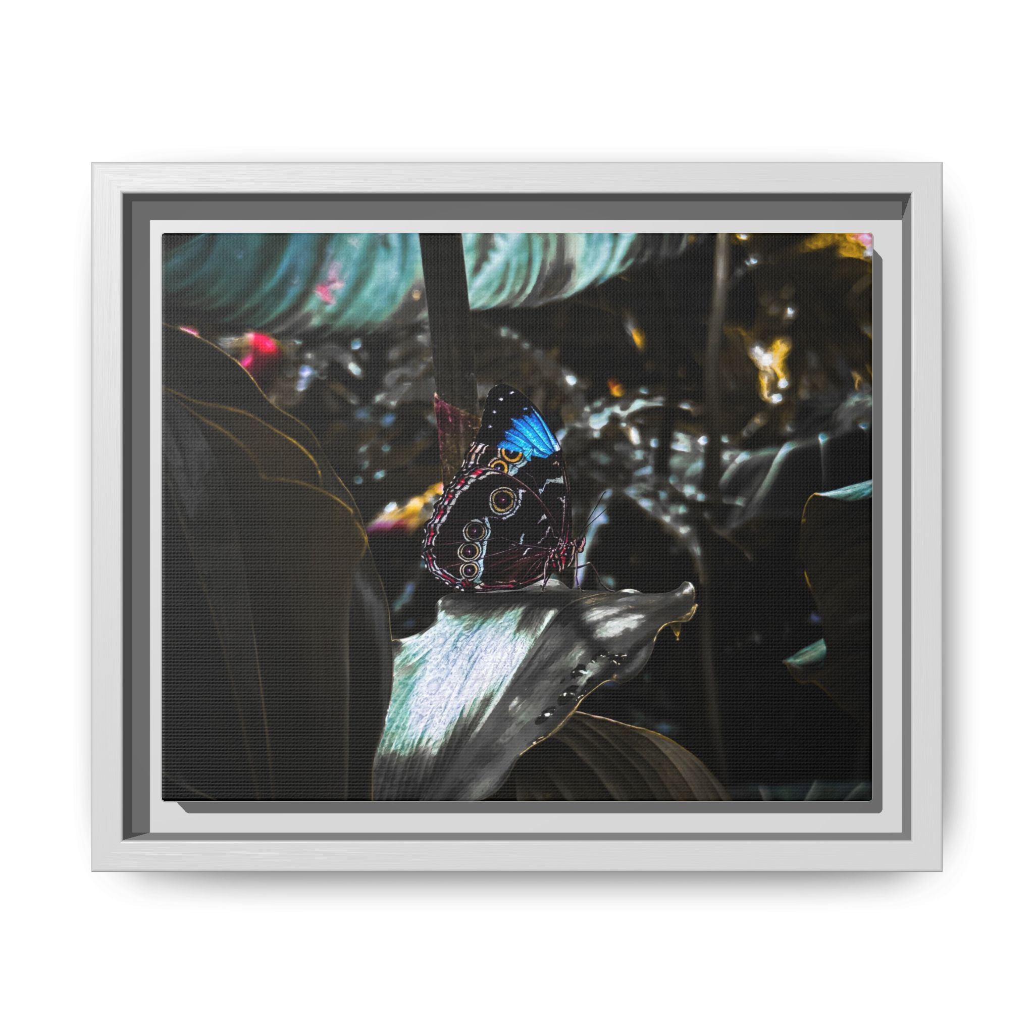 Framed Matte Canvas Print — Moody Tropical Butterfly Wall Art