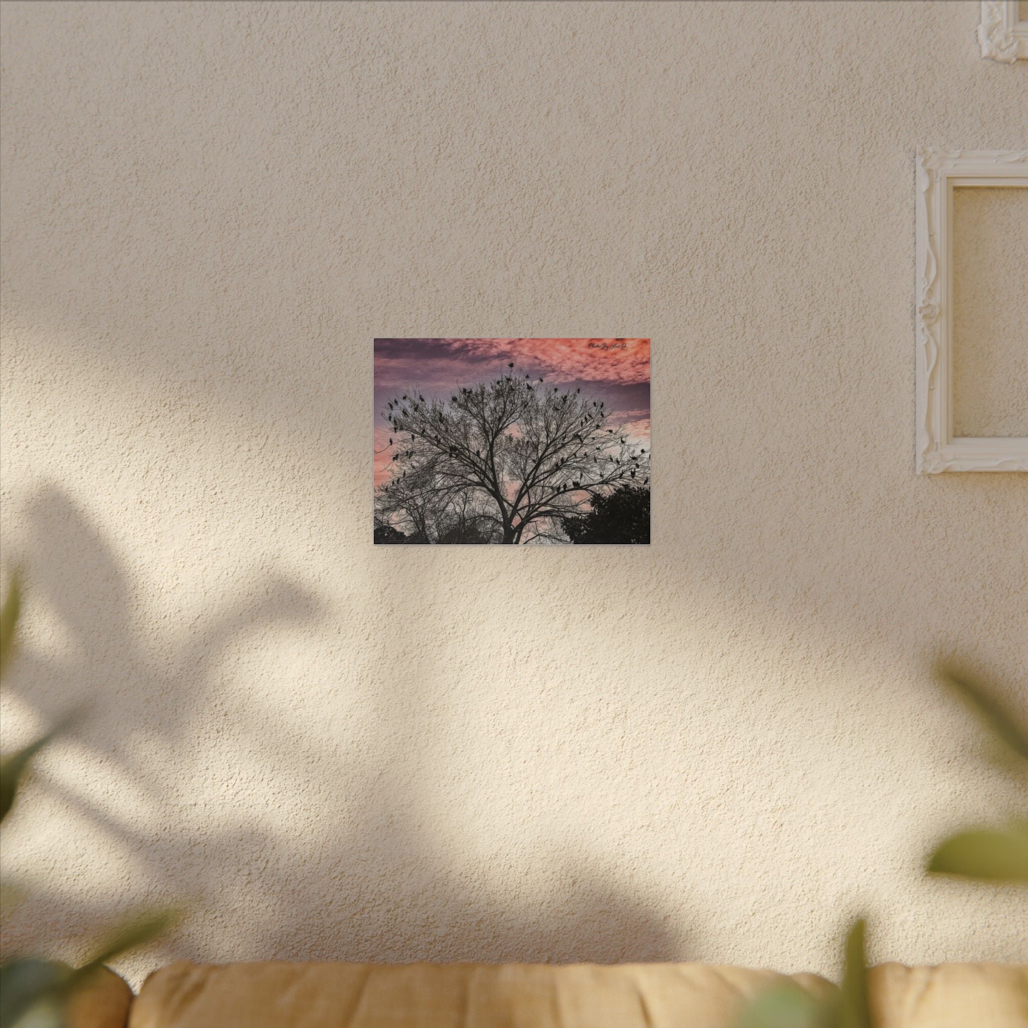 Serene Nature Canvas Art, Bird Silhouette Wall Decor, Home Aesthetic, Gift for Bird Lovers, Nature Photography Print, Peaceful Wall Art