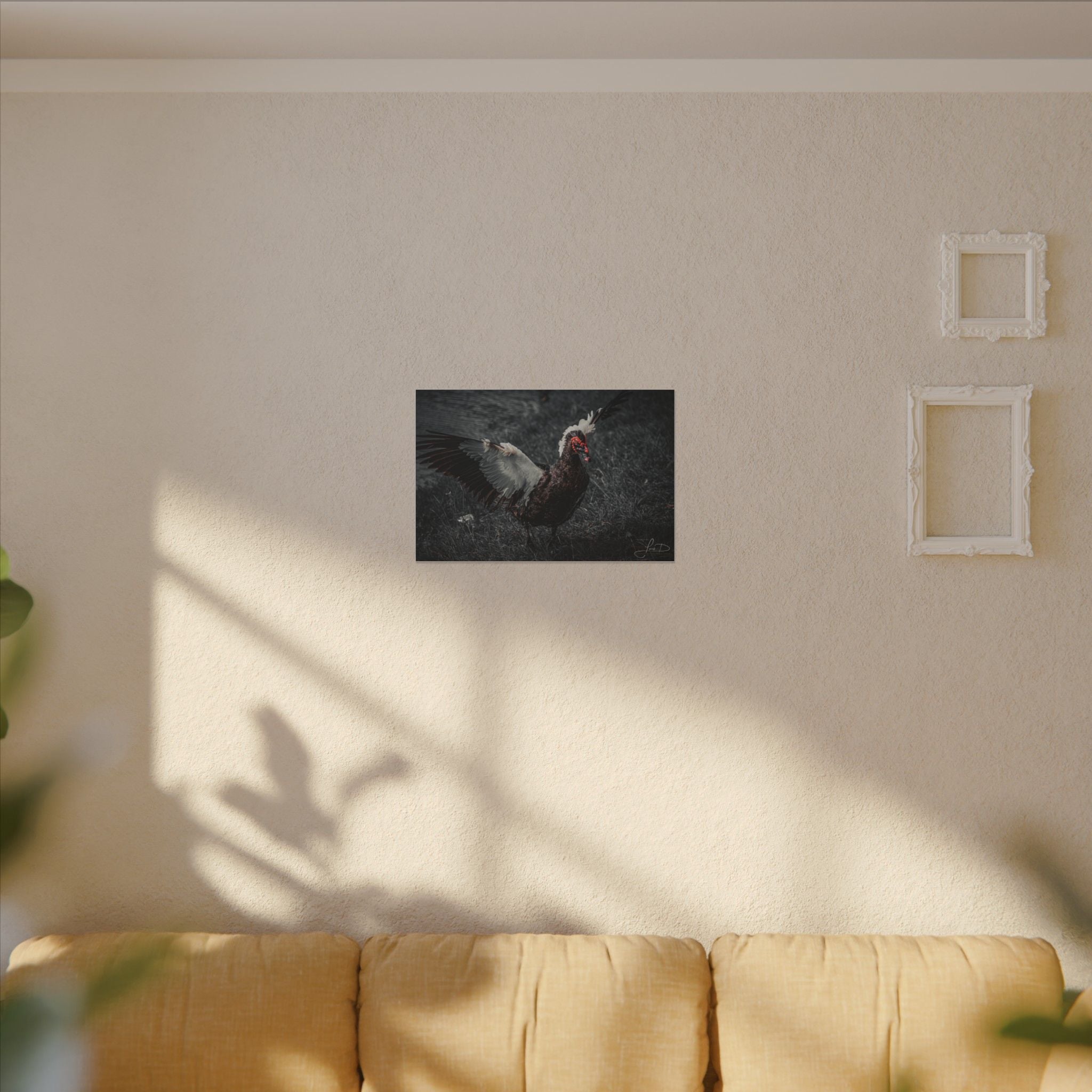 Dark Farmhouse Canvas Print — Moody Muscovy Duck Wall Art