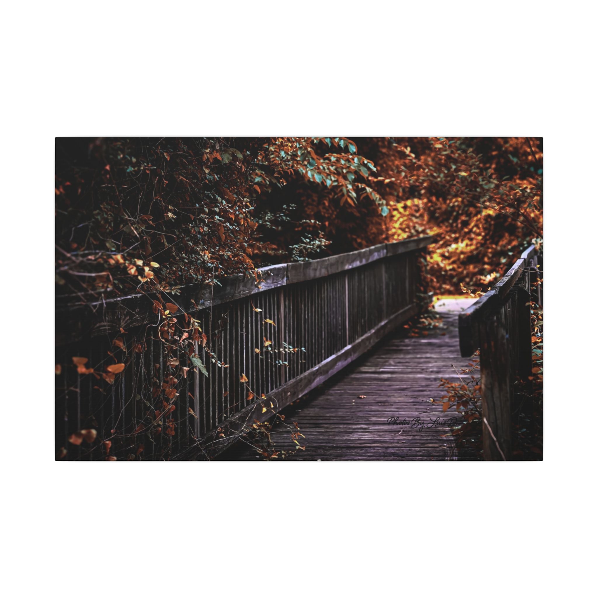 Autumn Forest Footbridge Matte Canvas Wall Art — Moody Woodland Landscape