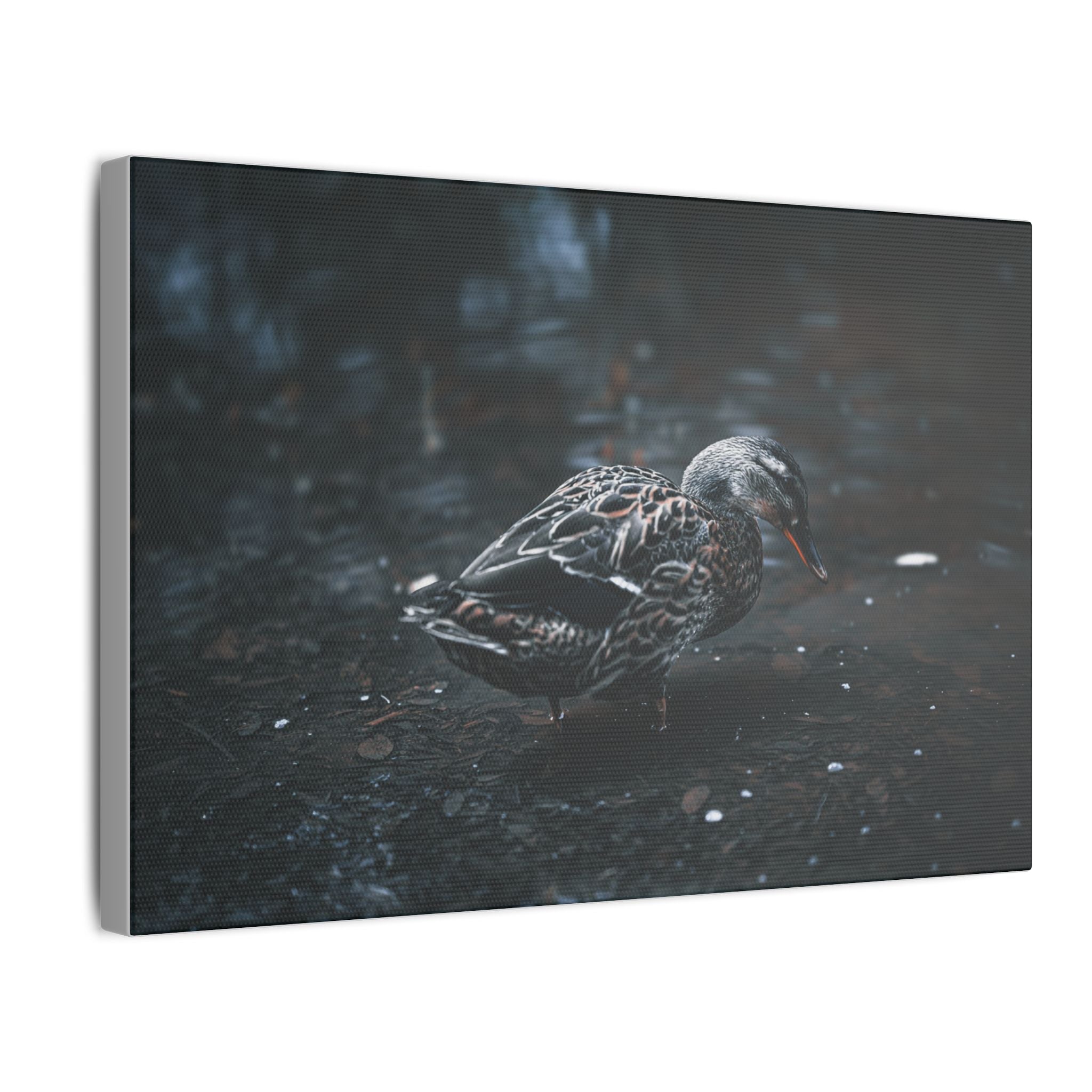 Matte Canvas Print - Moody Duck Photography Wall Art